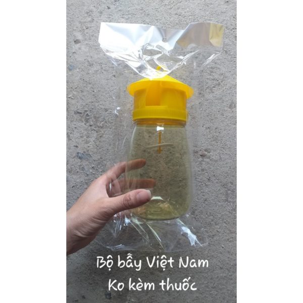 long-bay-ruoi-vang-viet-nam-hu-bat-con-trung-bay-ruoi-vang long-bay-ruoi-vang-viet-nam-hu-bat-con-trung-bay-ruoi-vang