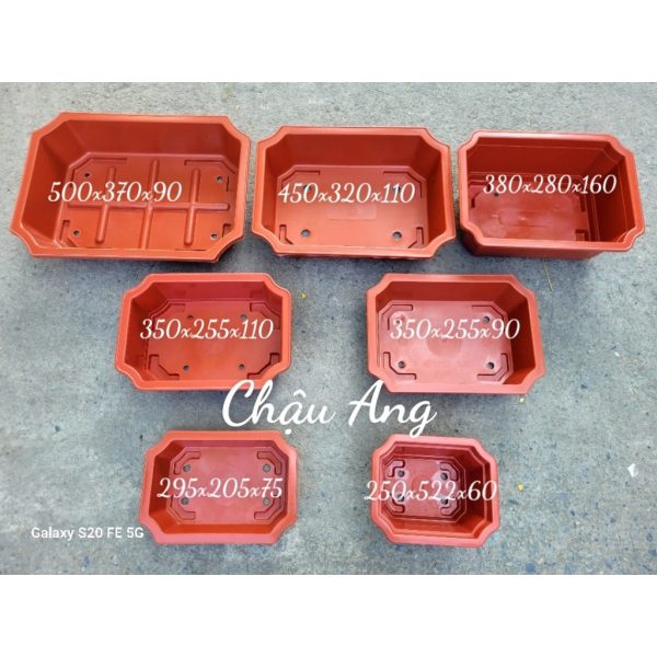 combo-3-cai-5-cai-10-cai-chau-nhua-trong-bonsai-cay-canh-chau-ang-350x255-chau-ang-binh-thuan-hang-cong-ty-day-dep combo-3-cai-5-cai-10-cai-chau-nhua-trong-bonsai-cay-canh-chau-ang-350x255-chau-ang-binh-thuan-hang-cong-ty-day-dep