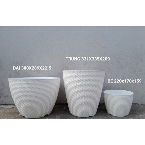 combo-3-cai-5-cai-chau-nhua-trong-cay-chau-dan-tron-chau-gia-may-dan-220x170x159-size-be-hang-cong-ty-day-dep combo-3-cai-5-cai-chau-nhua-trong-cay-chau-dan-tron-chau-gia-may-dan-220x170x159-size-be-hang-cong-ty-day-dep