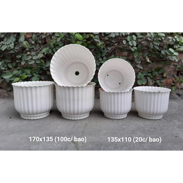 chau-nhua-trong-cay-chau-tron-soc-soc-de-ban-size-135x110-170x135-chau-rat-day-cao-cap-hang-cong-ty-truong-hai chau-nhua-trong-cay-chau-tron-soc-soc-de-ban-size-135x110-170x135-chau-rat-day-cao-cap-hang-cong-ty-truong-hai
