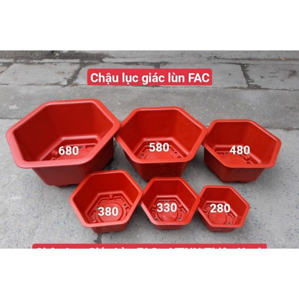 combo-3-cai-5-cai-chau-nhua-trong-cay-chau-luc-giac-lun-fac280-fac330-fac380-hang-cong-ty-loai-1-thien-my-ben-dep combo-3-cai-5-cai-chau-nhua-trong-cay-chau-luc-giac-lun-fac280-fac330-fac380-hang-cong-ty-loai-1-thien-my-ben-dep