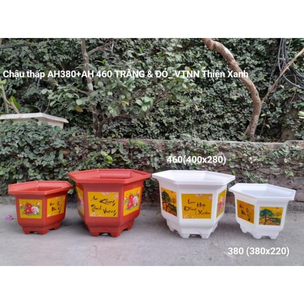 combo-3-cai-5-cai-chau-luc-giac-thap-ah380-ah460-duc-minh-in-hoa-4-mua-hang-cong-ty-day-dep-mau-trang-do combo-3-cai-5-cai-chau-luc-giac-thap-ah380-ah460-duc-minh-in-hoa-4-mua-hang-cong-ty-day-dep-mau-trang-do