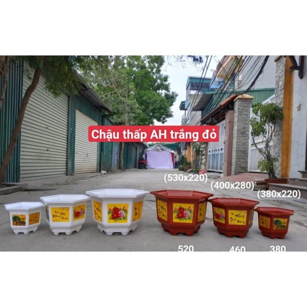 combo-3-cai-5-cai-chau-luc-giac-thap-ah380-ah460-duc-minh-in-hoa-4-mua-hang-cong-ty-day-dep-mau-trang-do combo-3-cai-5-cai-chau-luc-giac-thap-ah380-ah460-duc-minh-in-hoa-4-mua-hang-cong-ty-day-dep-mau-trang-do