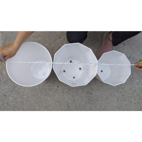 /combo-3-cai-5-cai-chau-nhua-trong-cay-gia-su-chau-kim-cuong-trang-3-kich-co-trong-hoa-kieng-de-ban-ban-cong /combo-3-cai-5-cai-chau-nhua-trong-cay-gia-su-chau-kim-cuong-trang-3-kich-co-trong-hoa-kieng-de-ban-ban-cong