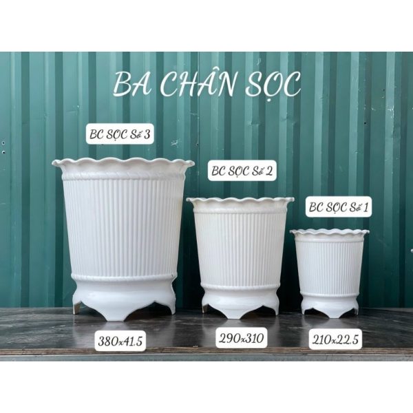 combo-3-cai-5-cai-chau-nhua-trong-cay-chau-3-chan-soc-cao-cap-mau-trang-nhieu-kich-co-trong-hoa-de-ban-ban-cong/ combo-3-cai-5-cai-chau-nhua-trong-cay-chau-3-chan-soc-cao-cap-mau-trang-nhieu-kich-co-trong-hoa-de-ban-ban-cong/
