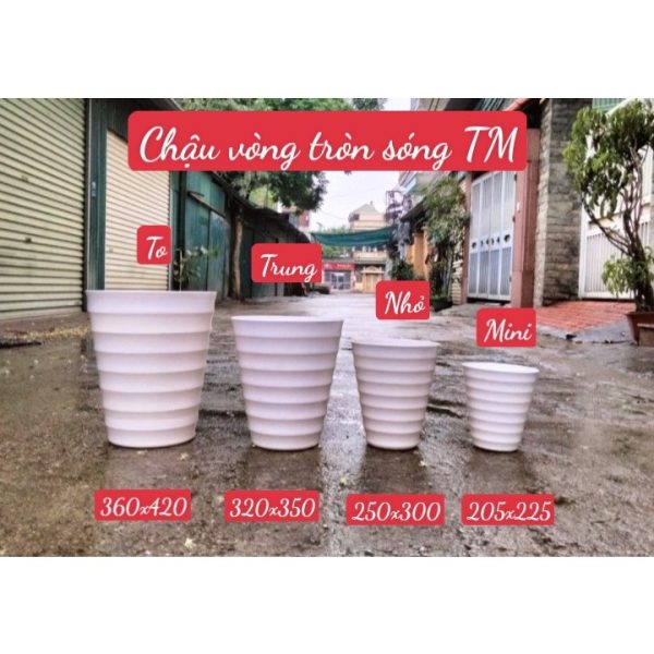 combo-3-5-cai-chau-nhua-trong-cay-chau-vong-tron-thien-my-hang-cong-ty-day-dan-nhieu-kich-co-mau-trang-chau-xoan combo-3-5-cai-chau-nhua-trong-cay-chau-vong-tron-thien-my-hang-cong-ty-day-dan-nhieu-kich-co-mau-trang-chau-xoan