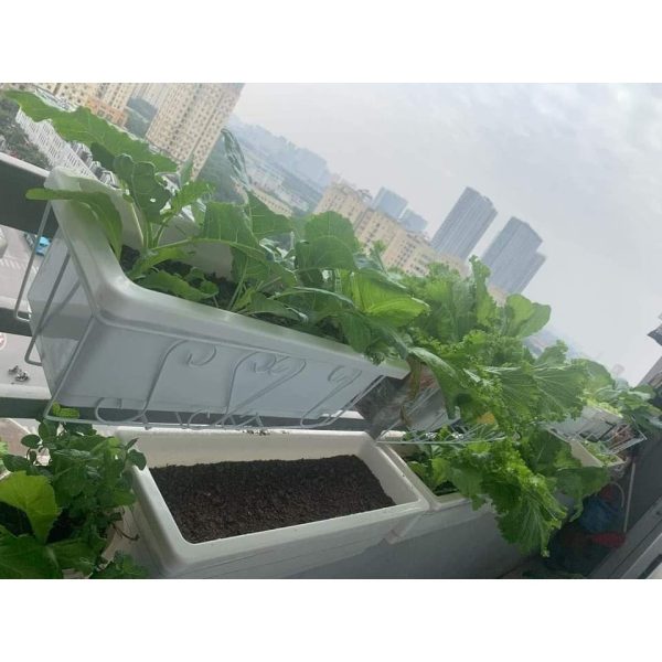 gia-sat-treo-ban-cong-hinh-chu-nhat-de-treo-chau-trong-cay-thong-minh-48x20x16cm-mau-den-va-trang gia-sat-treo-ban-cong-hinh-chu-nhat-de-treo-chau-trong-cay-thong-minh-48x20x16cm-mau-den-va-trang