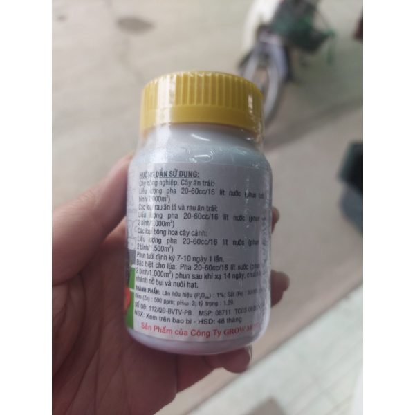 phan-bon-la-cao-cap-root-plex-chiet-xuat-tu-tao-bien-chinh-hang-growmore-cua-my-lo-100ml-phan-bon-huu-co-100 phan-bon-la-cao-cap-root-plex-chiet-xuat-tu-tao-bien-chinh-hang-growmore-cua-my-lo-100ml-phan-bon-huu-co-100