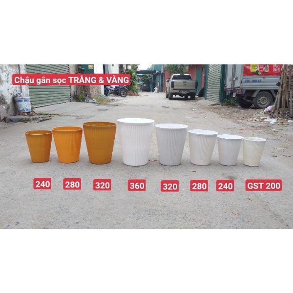 combo-3-cai-5-cai-chau-gan-soc-tron-trang-chau-nhua-trong-cay-hang-cong-ty-day-dep-du-kich-co combo-3-cai-5-cai-chau-gan-soc-tron-trang-chau-nhua-trong-cay-hang-cong-ty-day-dep-du-kich-co