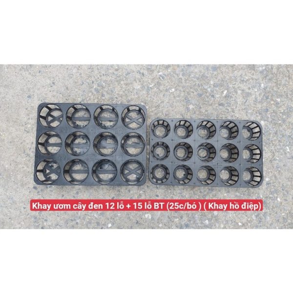 khay-nhua-uom-cay-mau-den-hang-cong-ty-binh-thuan-day-dep-trong-rau-uom-mam-thuy-canh-khay-ho-diep-12-lo-15-lo/ khay-nhua-uom-cay-mau-den-hang-cong-ty-binh-thuan-day-dep-trong-rau-uom-mam-thuy-canh-khay-ho-diep-12-lo-15-lo/