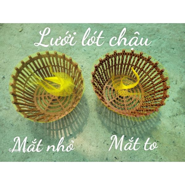 1kg-luoi-lot-chau-vang-mat-to-mat-nho-luoi-lot-chau-trong-lan-tranh-roi-rot-gia-the 1kg-luoi-lot-chau-vang-mat-to-mat-nho-luoi-lot-chau-trong-lan-tranh-roi-rot-gia-the