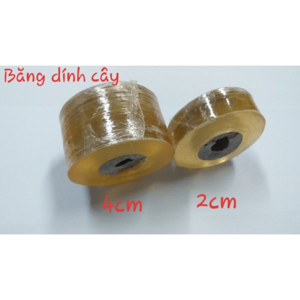 bang-ghep-canh-cay-tu-dinh-tu-huy-mong-va-deo-dai-bao-ve-moi-ghep-2cm-4cm bang-ghep-canh-cay-tu-dinh-tu-huy-mong-va-deo-dai-bao-ve-moi-ghep-2cm-4cm