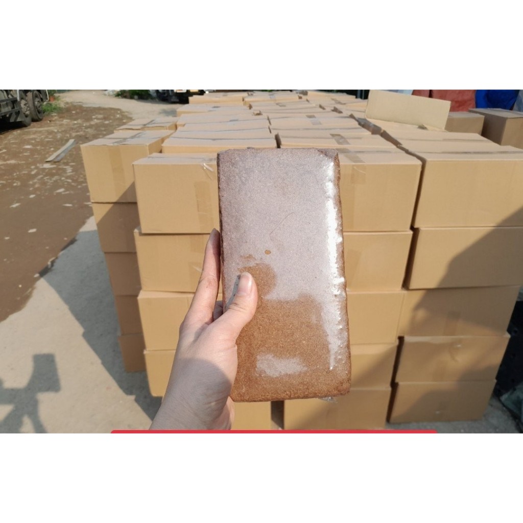 1-thung-10-vien-nen-xo-dua-500gr-hinh-chu-nhat-hinh-vien-gach-dung-trong-rau-mam-tron-dat-trong-cay-mang-co-tung-vien 1-thung-10-vien-nen-xo-dua-500gr-hinh-chu-nhat-hinh-vien-gach-dung-trong-rau-mam-tron-dat-trong-cay-mang-co-tung-vien