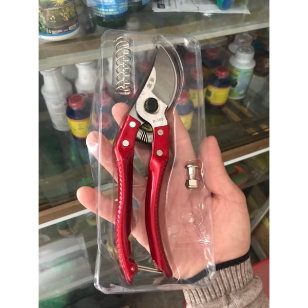 keo-cat-tia-canh-da-dung-cao-cap-mau-ngau-nhien-keo-cat-canh-kim-cat-canh-tro-luc-khoe-cung-cap-hang-dat-loai-1 keo-cat-tia-canh-da-dung-cao-cap-mau-ngau-nhien-keo-cat-canh-kim-cat-canh-tro-luc-khoe-cung-cap-hang-dat-loai-1