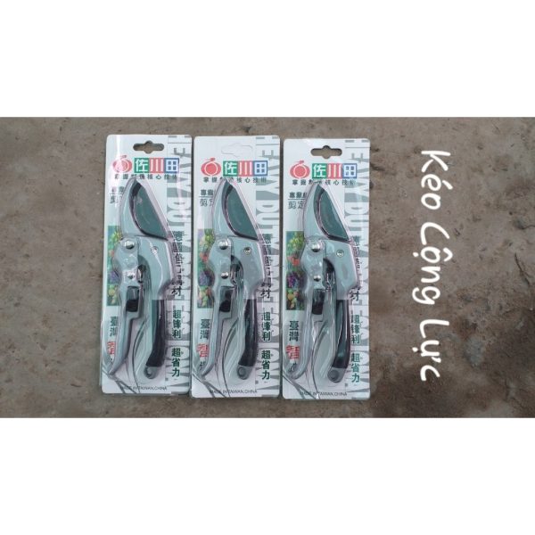 keo-cat-canh-cong-luc-cao-cap-cua-dai-loan-luoi-truot-thep-sk5-sieu-ben keo-cat-canh-cong-luc-cao-cap-cua-dai-loan-luoi-truot-thep-sk5-sieu-ben