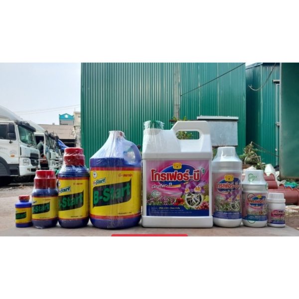 phan-bon-la-b1-thai-lan-xanh-giup-dieu-hoa-sinh-truong-kich-re-phat-trien-manh-danh-cho-hoa-lan-cay-canh-can-4-lit phan-bon-la-b1-thai-lan-xanh-giup-dieu-hoa-sinh-truong-kich-re-phat-trien-manh-danh-cho-hoa-lan-cay-canh-can-4-lit