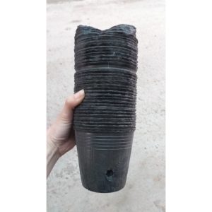 vn 11134207 7r98o lswrdrzktl8k13