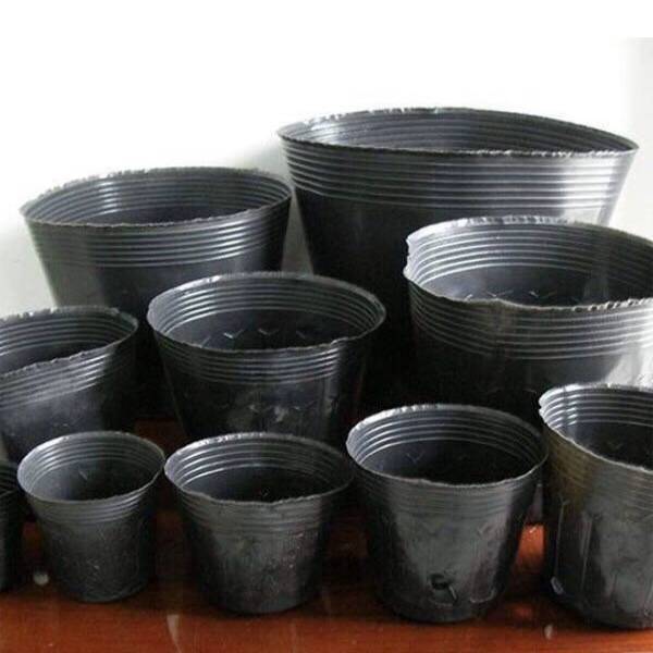 1kg-bau-uom-cay-du-kich-co-hang-dep-chau-uom-cay-giong-nilon-den-bau-uom-cay-giong-cac-loai-cay-trong-bich-nilon-den 1kg-bau-uom-cay-du-kich-co-hang-dep-chau-uom-cay-giong-nilon-den-bau-uom-cay-giong-cac-loai-cay-trong-bich-nilon-den