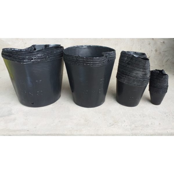 1kg-bau-uom-cay-du-kich-co-hang-dep-chau-uom-cay-giong-nilon-den-bau-uom-cay-giong-cac-loai-cay-trong-bich-nilon-den 1kg-bau-uom-cay-du-kich-co-hang-dep-chau-uom-cay-giong-nilon-den-bau-uom-cay-giong-cac-loai-cay-trong-bich-nilon-den