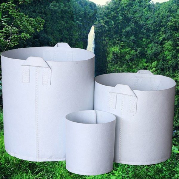 /set-50-tui-vai-dia-trong-cay-co-2-quai-xach-du-kich-thuoc-chat-lieu-day-dan-20x20-25x20-30x25-30x30-35x30-40x35 /set-50-tui-vai-dia-trong-cay-co-2-quai-xach-du-kich-thuoc-chat-lieu-day-dan-20x20-25x20-30x25-30x30-35x30-40x35