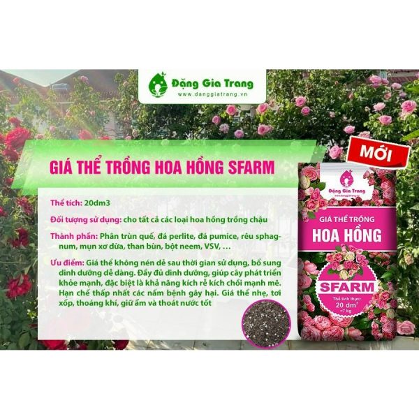 gia-the-trong-hoa-hong-sfarm-dang-gia-trang-bao-20dm-khoang-7kg-dat-trong-hoa-hong-cao-cap-phoi-tron-san-vi-sinh gia-the-trong-hoa-hong-sfarm-dang-gia-trang-bao-20dm-khoang-7kg-dat-trong-hoa-hong-cao-cap-phoi-tron-san-vi-sinh