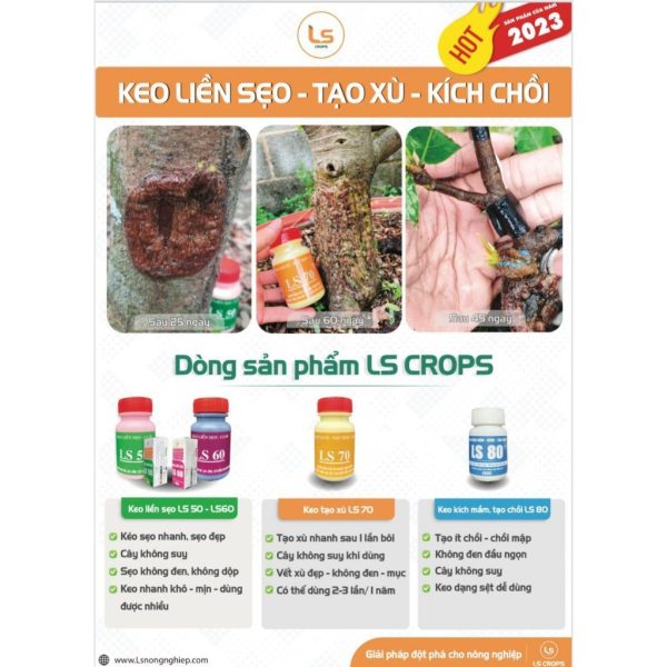 keo-lien-da-cay-ls-50-keo-lien-seo-cho-cay-cuc-nhanh-cay-khoe-khong-suy-khong-dop-vet-seo-khoe-dep-lo-100gr keo-lien-da-cay-ls-50-keo-lien-seo-cho-cay-cuc-nhanh-cay-khoe-khong-suy-khong-dop-vet-seo-khoe-dep-lo-100gr