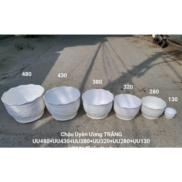 chau-nhua-trong-cay-chau-uyen-uong-size-nho-nhat-130x92x86-mau-trang-chau-nhua-cung-cap-hang-cong-ty-day-dep chau-nhua-trong-cay-chau-uyen-uong-size-nho-nhat-130x92x86-mau-trang-chau-nhua-cung-cap-hang-cong-ty-day-dep