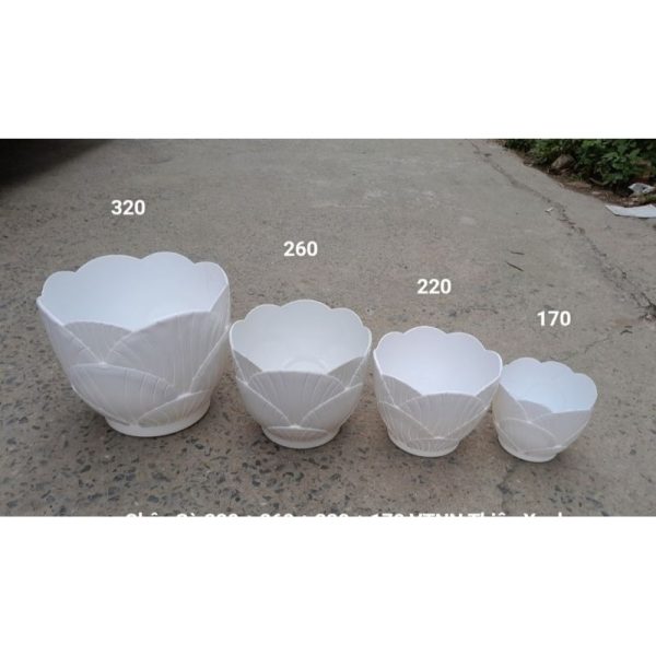 combo-3-cai-5-cai-chau-nhua-trong-cay-trong-hoa-hinh-con-so-mau-trang-kich-thuoc-220x180-170-260-320-chau-so combo-3-cai-5-cai-chau-nhua-trong-cay-trong-hoa-hinh-con-so-mau-trang-kich-thuoc-220x180-170-260-320-chau-so