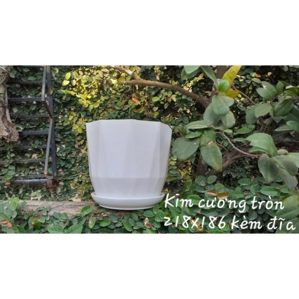 chau-nhua-trong-cay-gia-su-chau-kim-cuong-tron-trang-kem-dia-size-218x186-hang-cong-ty-loai-1-chau-day-dep chau-nhua-trong-cay-gia-su-chau-kim-cuong-tron-trang-kem-dia-size-218x186-hang-cong-ty-loai-1-chau-day-dep