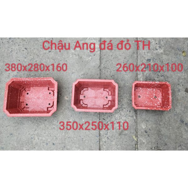 combo-3-cai-5-cai-10-cai-chau-nhua-trong-bonsai-cay-canh-chau-ang-250x350-chau-ang-truong-hai-hang-cong-ty-day-dep combo-3-cai-5-cai-10-cai-chau-nhua-trong-bonsai-cay-canh-chau-ang-250x350-chau-ang-truong-hai-hang-cong-ty-day-dep