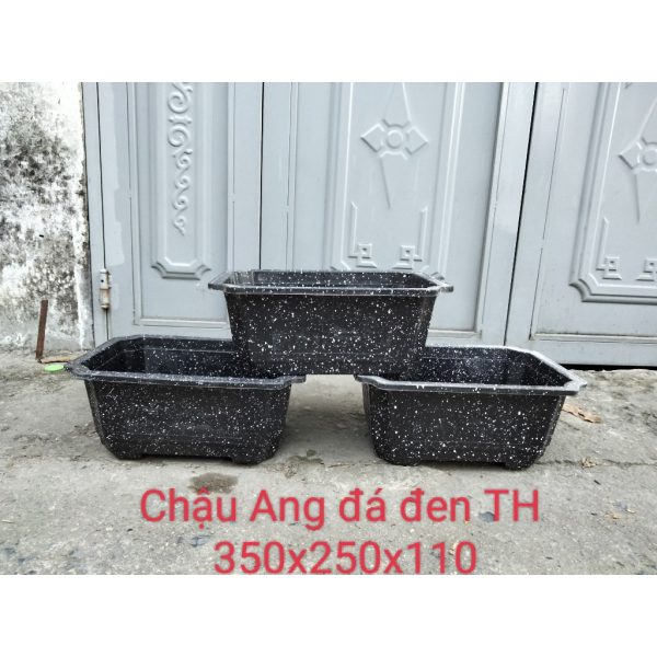 combo-3-cai-5-cai-10-cai-chau-nhua-trong-bonsai-cay-canh-chau-ang-250x350-chau-ang-truong-hai-hang-cong-ty-day-dep combo-3-cai-5-cai-10-cai-chau-nhua-trong-bonsai-cay-canh-chau-ang-250x350-chau-ang-truong-hai-hang-cong-ty-day-dep