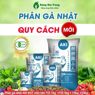 Phan-ga-Nhat-Ban-Aki-Dang-Gia-Trang-11