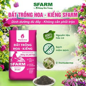 Dat-trong-hoa-kieng-Sfarm-Dang-Gia-Trang-tron-san-dung-cho-hoa-bonsai-cay-kieng-tui-5dm-10