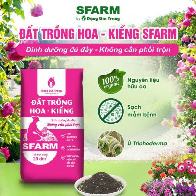 Dat-trong-hoa-kieng-Sfarm-Dang-Gia-Trang-tron-san-dung-cho-hoa-bonsai-cay-kieng-tui-5dm-10