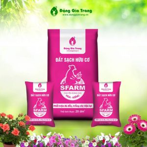 Dat-trong-hoa-kieng-Sfarm-Dang-Gia-Trang-tron-san-dung-cho-hoa-bonsai-cay-kieng-tui-5dm-9