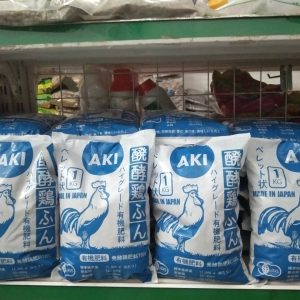 Phan-ga-Nhat-Ban-Aki-Dang-Gia-Trang-21