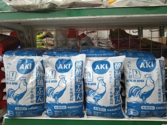 Phan-ga-Nhat-Ban-Aki-Dang-Gia-Trang-21