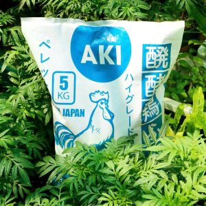 Phan-ga-Nhat-Ban-Aki-Dang-Gia-Trang-8