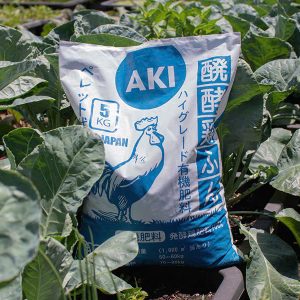 Phan-ga-Nhat-Ban-Aki-Dang-Gia-Trang-7