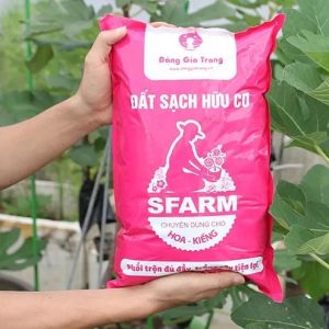 Dat-trong-hoa-kieng-Sfarm-Dang-Gia-Trang-tron-san-dung-cho-hoa-bonsai-cay-kieng-tui-5dm-11