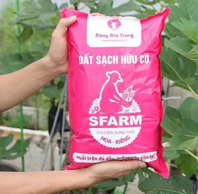 Dat-trong-hoa-kieng-Sfarm-Dang-Gia-Trang-tron-san-dung-cho-hoa-bonsai-cay-kieng-tui-5dm-11