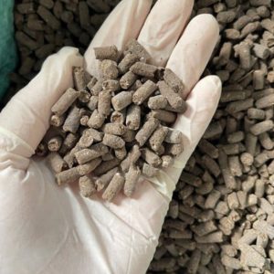 Phan-ga-Nhat-Ban-Aki-Dang-Gia-Trang-12