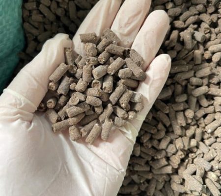 Phan-ga-huu-co-Nhat-Ban-Aki-12