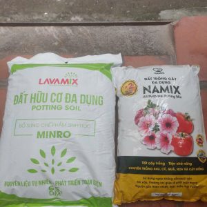 Dat-sach-trong-cay-Lavamix-6.5dm-5