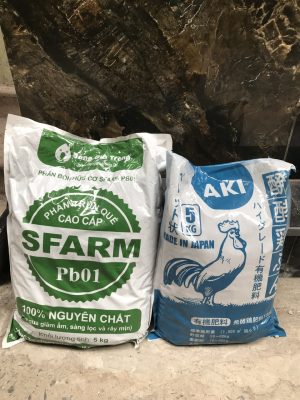 Phan-bon-trun-que-sfarm-dang-gia-trang-dang-bot-12