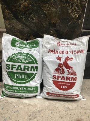 Phan-bon-trun-que-sfarm-dang-gia-trang-dang-bot-10