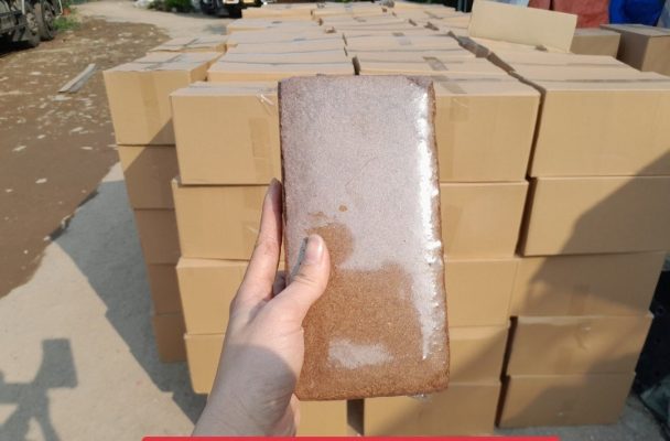 vien-nen-xo-dua-500gr-hinh-vien-gach-2