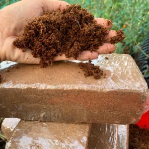 vien-nen-xo-dua-500gr-hinh-vien-gach-11