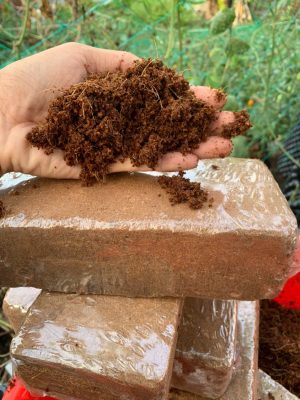 vien-nen-xo-dua-500gr-hinh-vien-gach-11