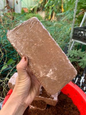 vien-nen-xo-dua-500gr-hinh-vien-gach-9